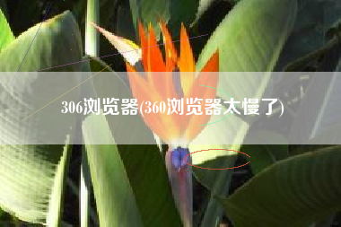 306浏览器(360浏览器太慢了)