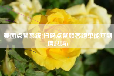 美团点餐系统(扫码点餐顾客跑单能查到信息吗)