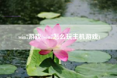 win7游戏(win7怎么玩主机游戏)