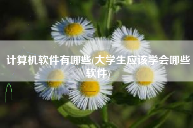 计算机软件有哪些(大学生应该学会哪些软件)
