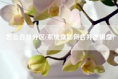 怎么合并分区(系统盘如何合并逻辑盘)