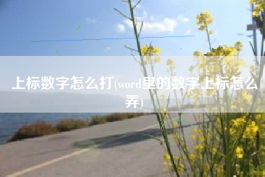 上标数字怎么打(word里的数字上标怎么弄)