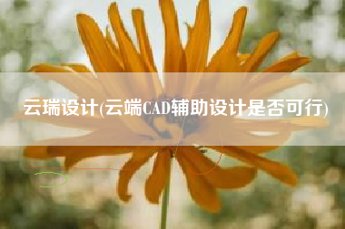 云瑞设计(云端CAD辅助设计是否可行)