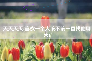 天天天天(喜欢一个人该不该一直找他聊天)