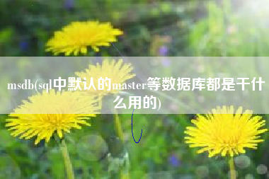 msdb(sql中默认的master等数据库都是干什么用的)