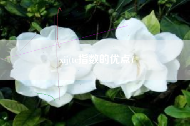 xij(tc指数的优点)