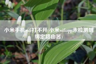 小米手机wifi打不开(小米wifiapp未检测到绑定路由器)