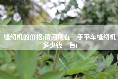 详细阅读:缝纫机的价格(请问现在二手平车缝纫机多少钱一台) 缝纫机的价格(请问现在二手平车缝纫机多少钱一台)