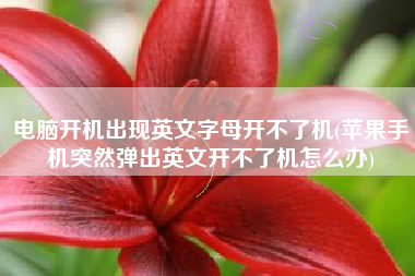 电脑开机出现英文字母开不了机(苹果手机突然弹出英文开不了机怎么办)