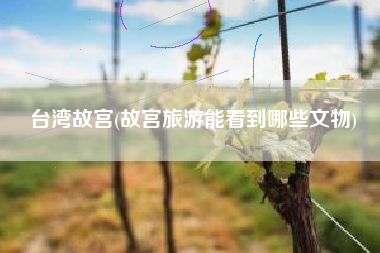 台湾故宫(故宫旅游能看到哪些文物)