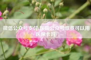 微信公众号支付(医院公众号缴费可以用医保卡吗)