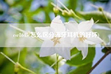 csr8645(怎么区分蓝牙耳机的好坏)