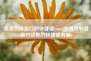 快速切换窗口的快捷键(word中查找和替换对话框的快捷键有哪)