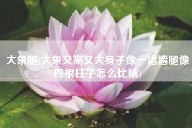 大象腿(大象又高又大身子像一堵墙腿像四根柱子怎么比喻)