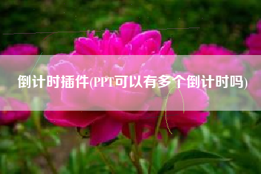 倒计时插件(PPT可以有多个倒计时吗)