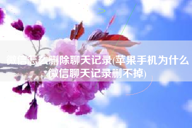 微信怎么删除聊天记录(苹果手机为什么微信聊天记录删不掉)