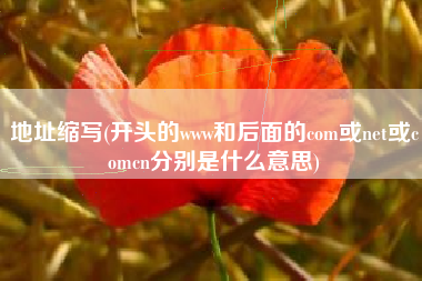 地址缩写(开头的www和后面的com或net或comcn分别是什么意思)