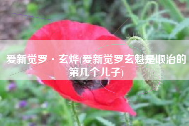 爱新觉罗·玄烨(爱新觉罗玄魁是顺治的第几个儿子)
