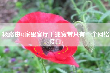 极路由4(家里客厅千兆宽带只有一个网络接口)