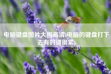 电脑键盘图片大图高清(电脑的键盘打下去有的键很紧)