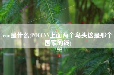 cnn是什么(POCCNN上面两个鸟头这是那个国家的钱)