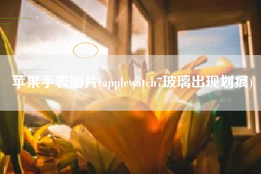 苹果手表图片(applewatch7玻璃出现划痕)