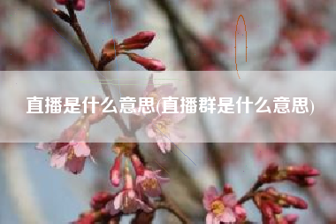直播是什么意思(直播群是什么意思)