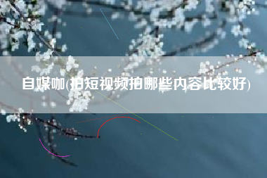 自媒咖(拍短视频拍哪些内容比较好)