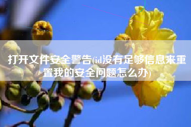打开文件安全警告(id没有足够信息来重置我的安全问题怎么办)