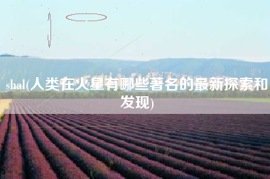 shal(人类在火星有哪些著名的最新探索和发现)