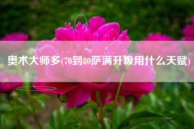 奥术大师多(70到80萨满升级用什么天赋)