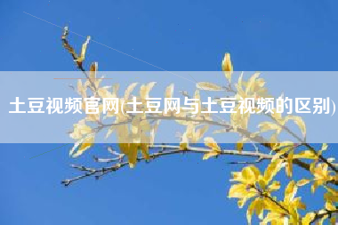 土豆视频官网(土豆网与土豆视频的区别)