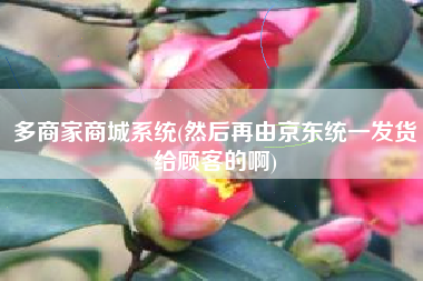 多商家商城系统(然后再由京东统一发货给顾客的啊)