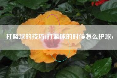 打篮球的技巧(打篮球的时候怎么护球)