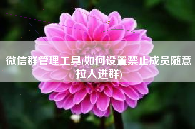 微信群管理工具(如何设置禁止成员随意拉人进群)