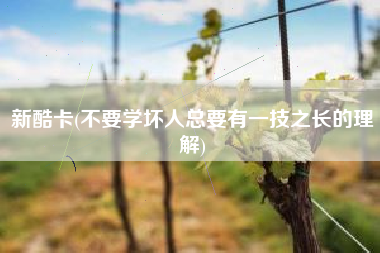 新酷卡(不要学坏人总要有一技之长的理解)