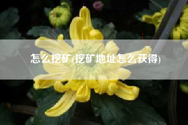 怎么挖矿(挖矿地址怎么获得)