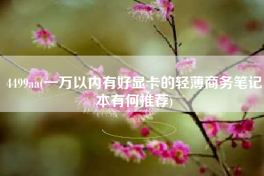4499aa(一万以内有好显卡的轻薄商务笔记本有何推荐)