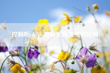 控制柜plc(plc控制柜接线号码规则)