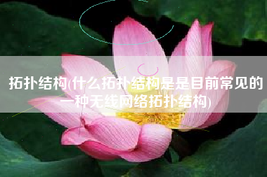 拓扑结构(什么拓扑结构是是目前常见的一种无线网络拓扑结构)