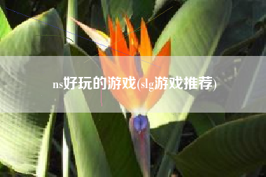 ns好玩的游戏(slg游戏推荐)