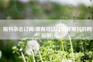 报刊杂志订阅(哪有可以订阅好期刊的网站啊)
