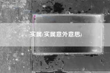 实属(实属意外意思)
