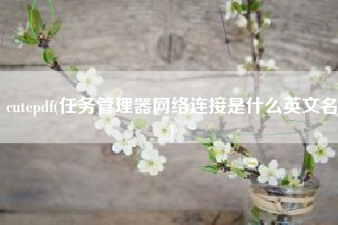 cutepdf(任务管理器网络连接是什么英文名)