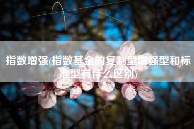 指数增强(指数基金的复制型增强型和标准型有什么区别)