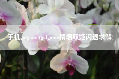 手机galgame(galgame精爆双姬闪退求解)
