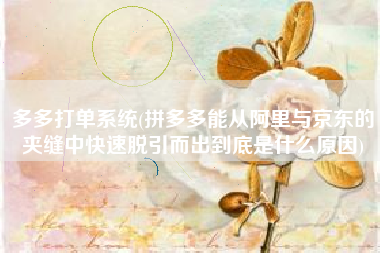 详细阅读:多多打单系统(拼多多能从阿里与京东的夹缝中快速脱引而出到底是什么原因) 多多打单系统(拼多多能从阿里与京东的夹缝中快速脱引而出到底是什么原因)