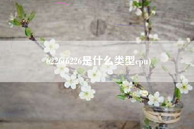 6226(6226是什么类型cpu)