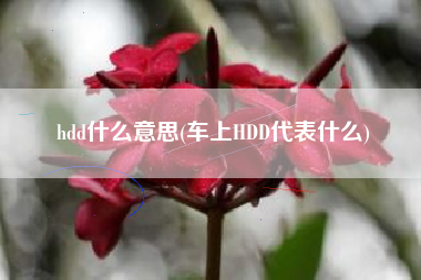 hdd什么意思(车上HDD代表什么)