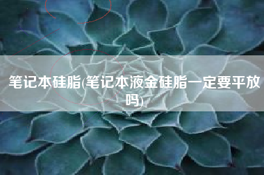笔记本硅脂(笔记本液金硅脂一定要平放吗)